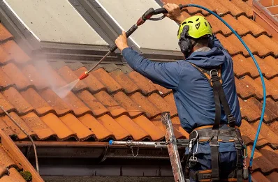 Démoussage et hydrofuge de toiture à Job